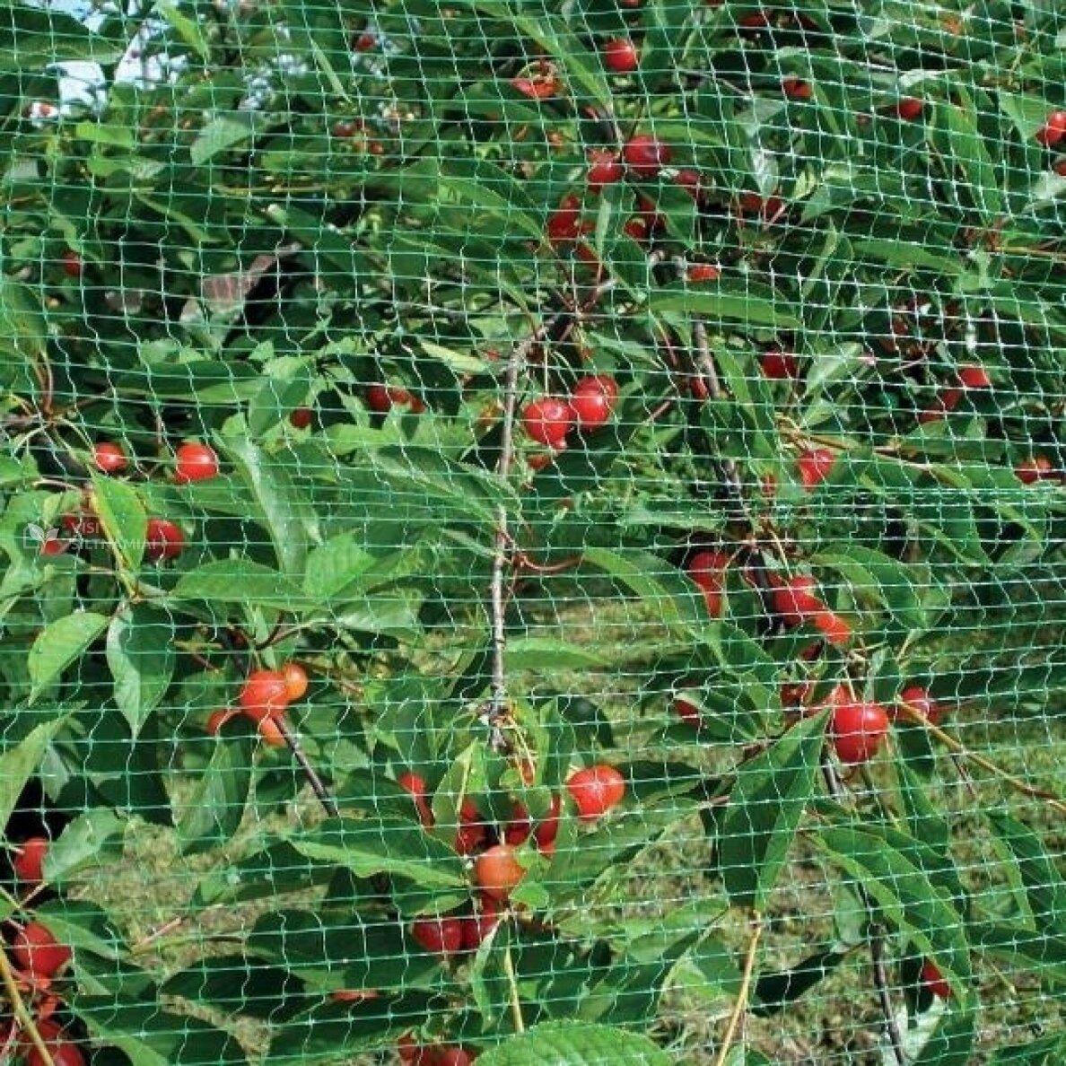 Tinklas nuo paukščių 19mm 3x5 m (7 g/m²) 3 Tinklas nuo paukščių 19mm 3x5 m (7 g/m²) 3