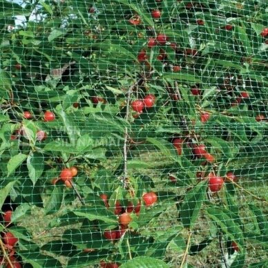 Tinklas nuo paukščių 19mm 3x5 m (7 g/m²) 3 Tinklas nuo paukščių 19mm 3x5 m (7 g/m²) 3